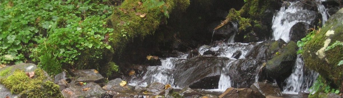 The Real Secrets to Life™